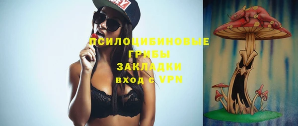 МДПВ Алзамай