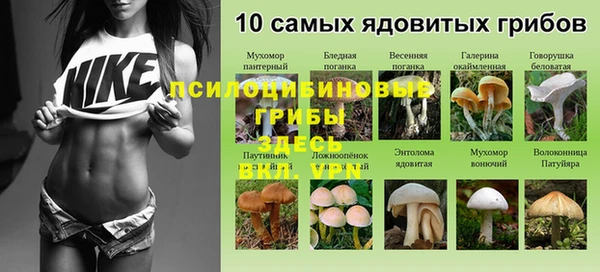 МДПВ Алзамай