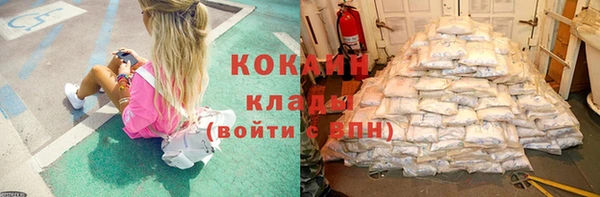 МДПВ Алзамай