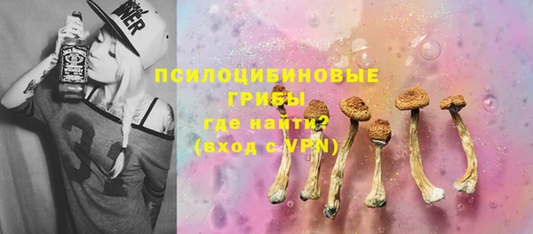 МДПВ Алзамай