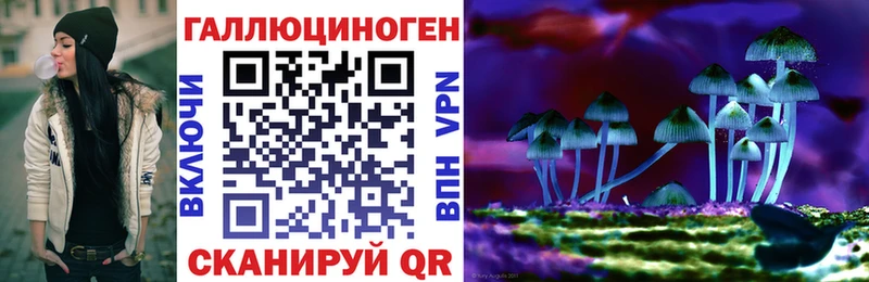Псилоцибиновые грибы Cubensis  купить  сайты  кракен зеркало  Анапа 