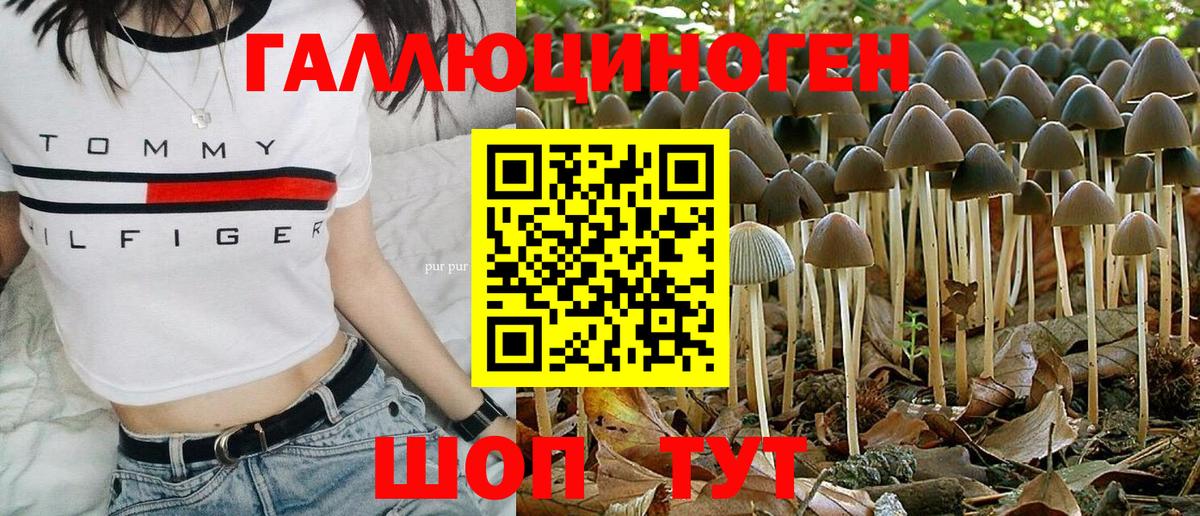 Псилоцибиновые грибы GOLDEN TEACHER Анапа